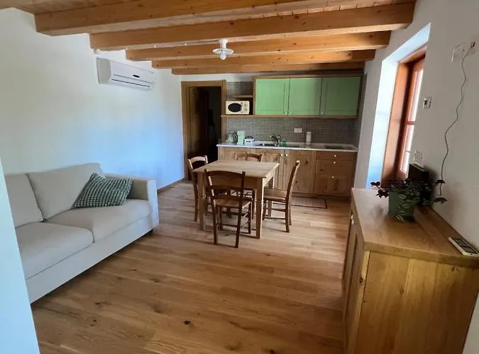 Minerva * San Pelagio