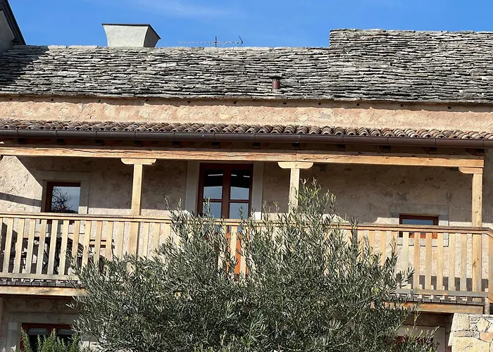 Minerva * San Pelagio