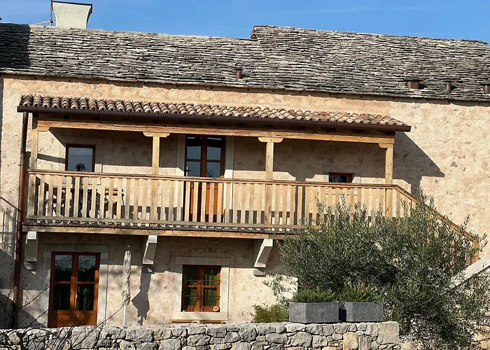 Minerva * San Pelagio